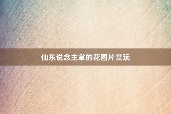 仙东说念主掌的花图片赏玩
